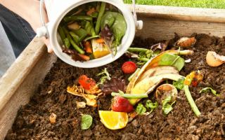 Tee-ise-kompostiaev: tootmisvõimalused ja asjatundlikud nõuanded